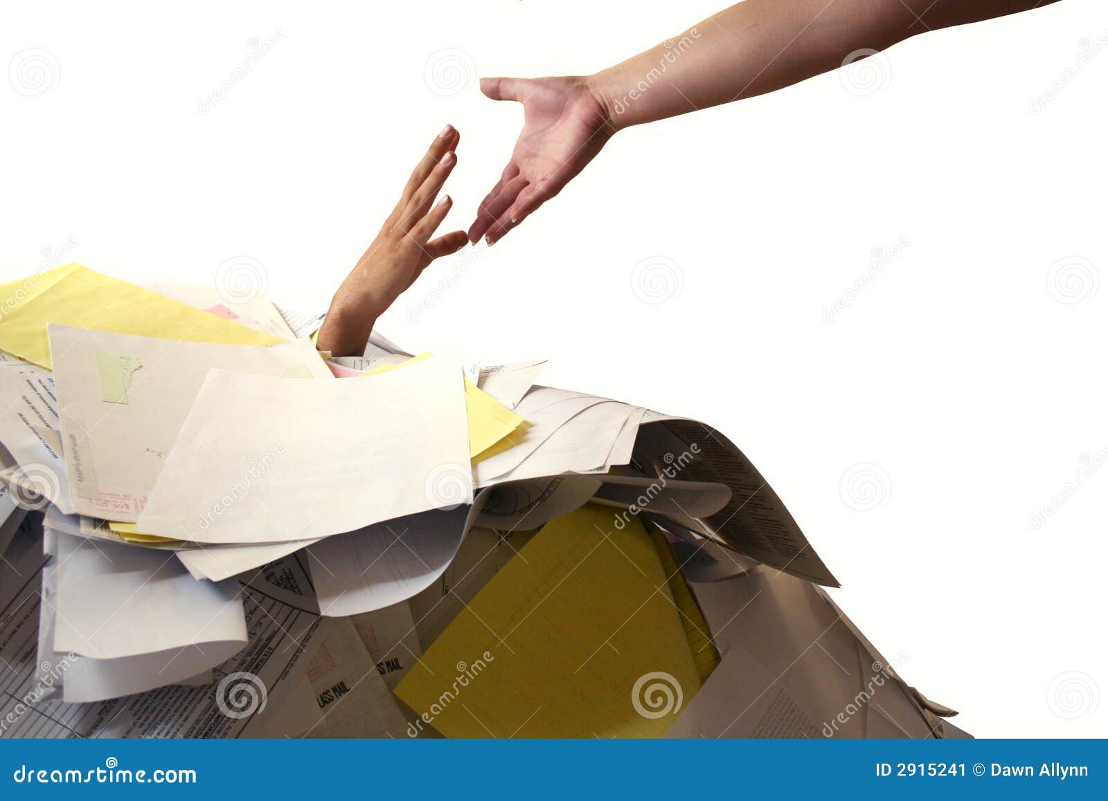 assistance with paperwork assistance with paperwork