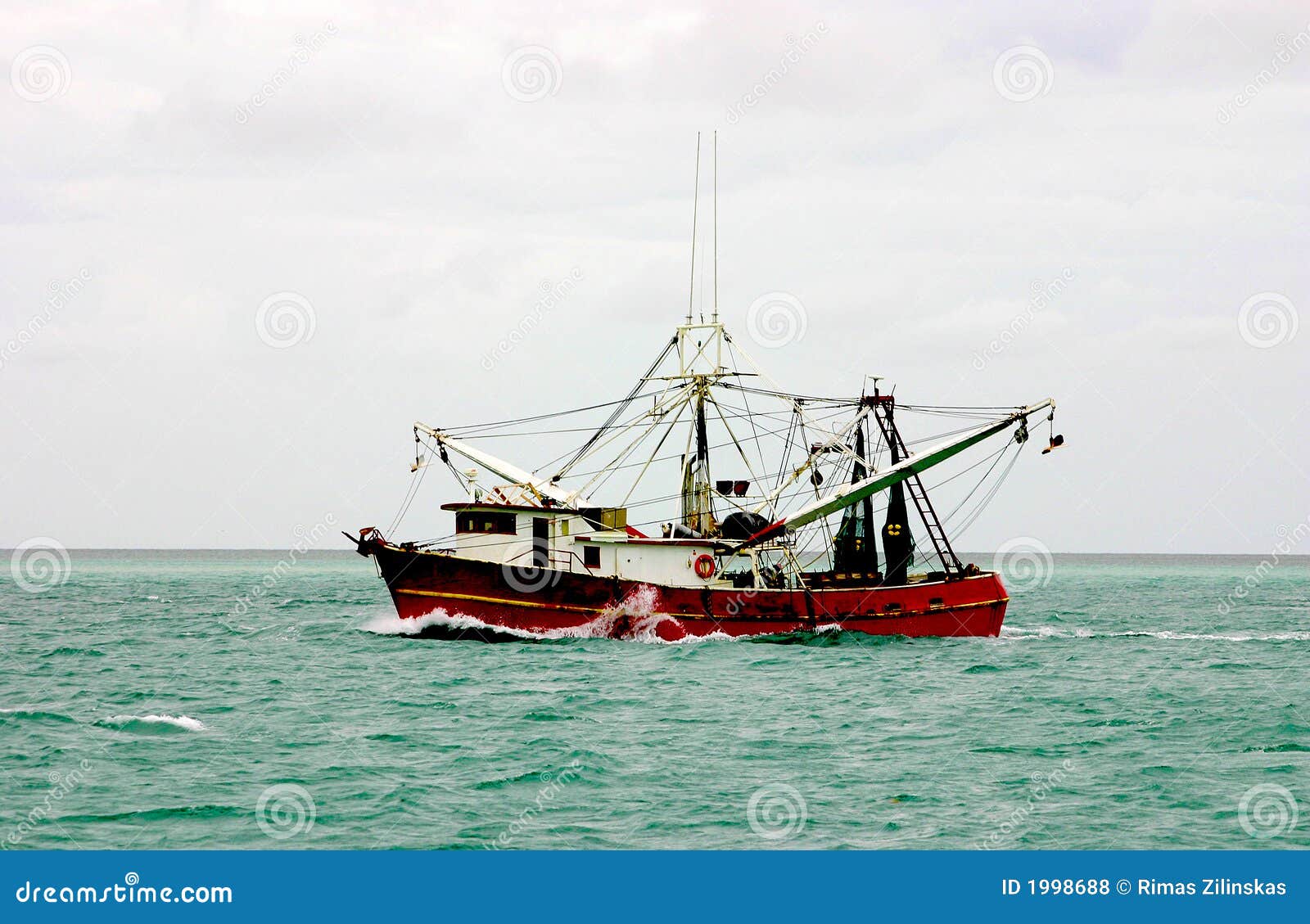 Shrimp Boats