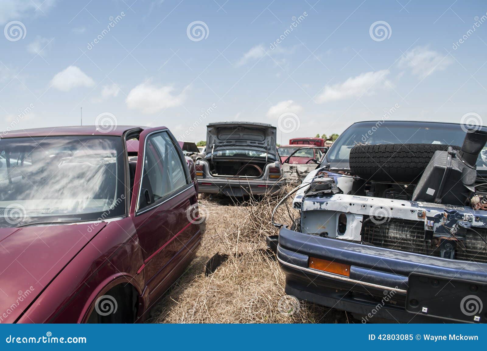automobile-salvage-yard-junk-cars-blue-s