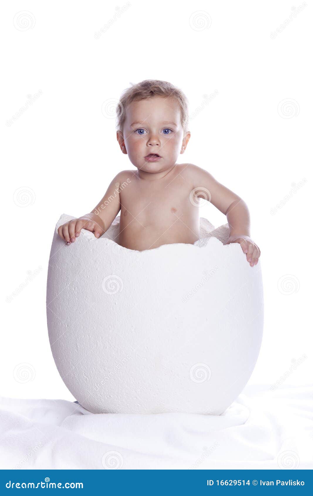 Baby Boyl In Egg On Wh... Jackson Brundage