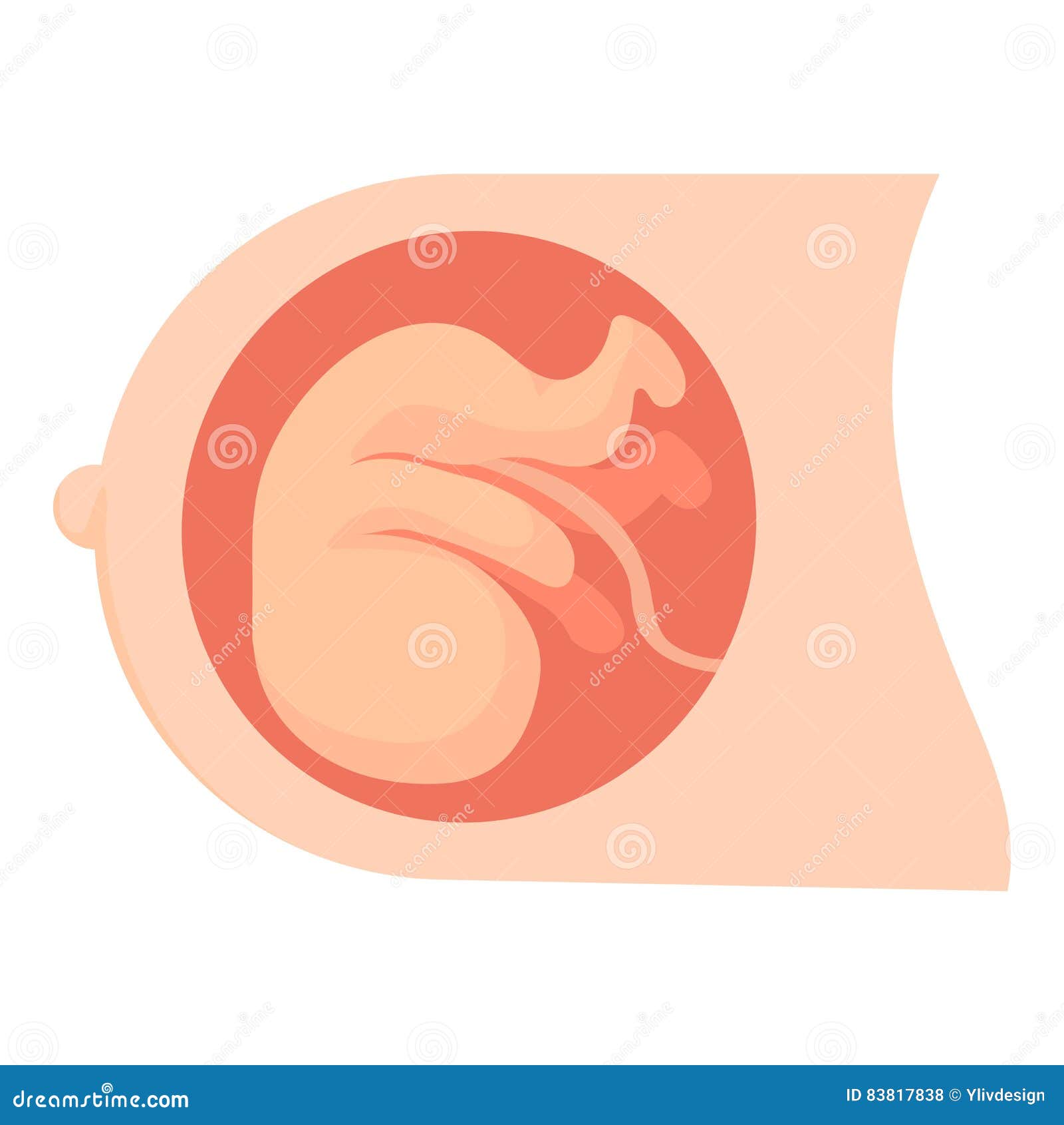 free clipart baby in womb - photo #16