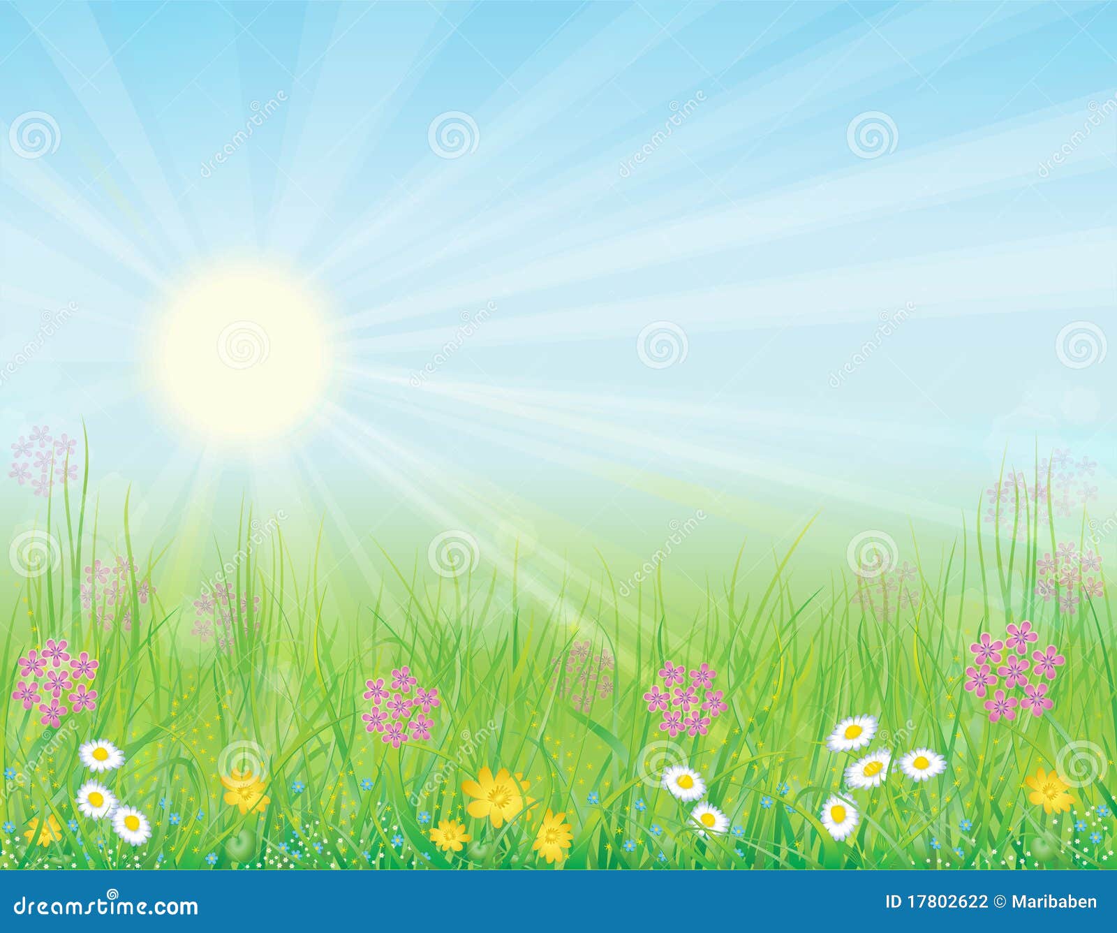 flower meadow clipart - photo #45