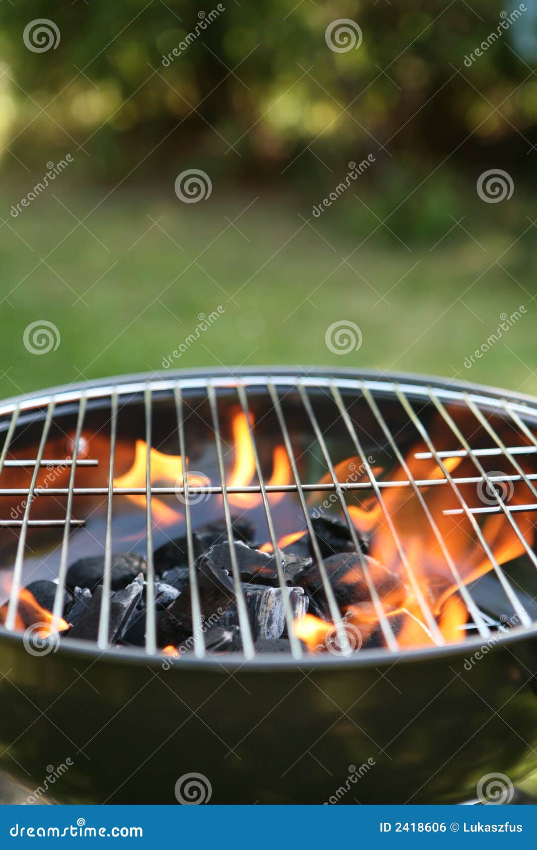 backyard barbecue grill 2418606 Backyard Barbecue Grill Designs