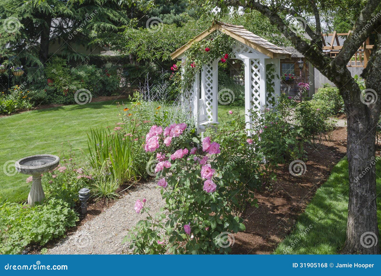 Backyard Rose Garden