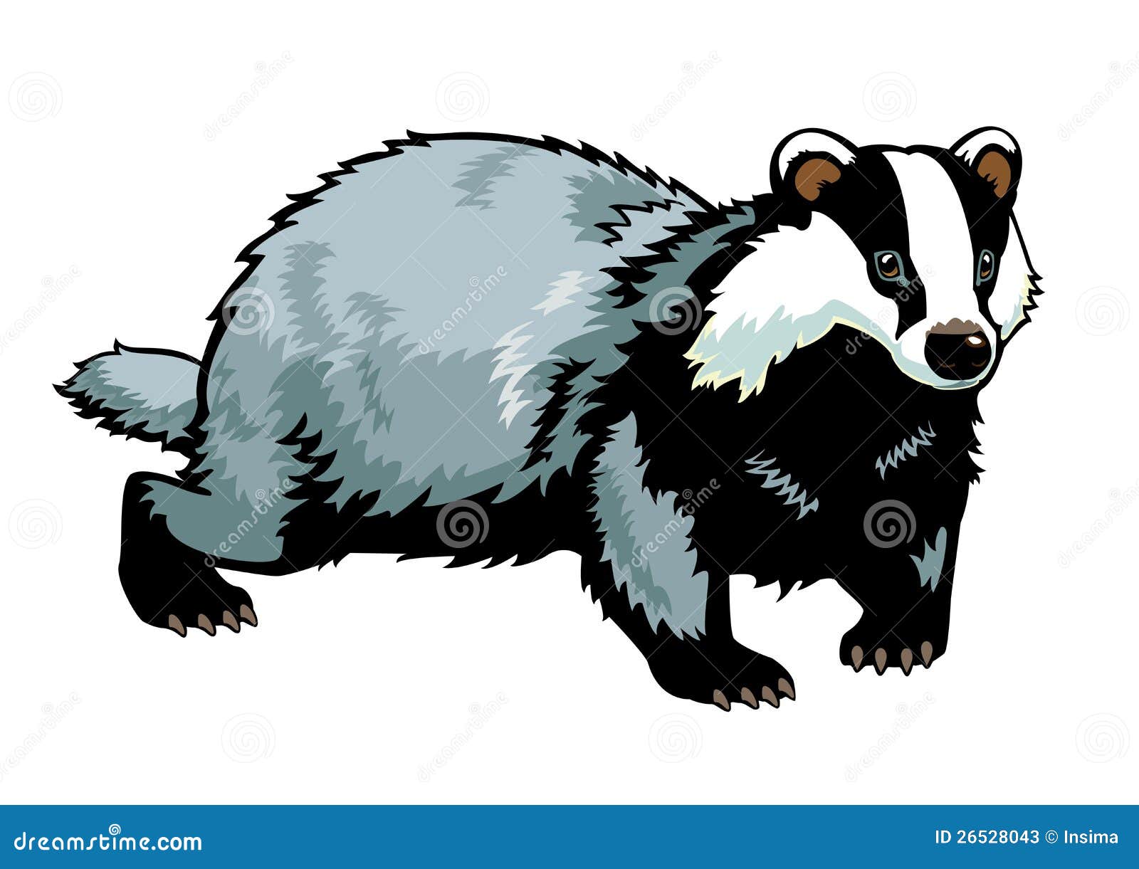 clipart badger - photo #49