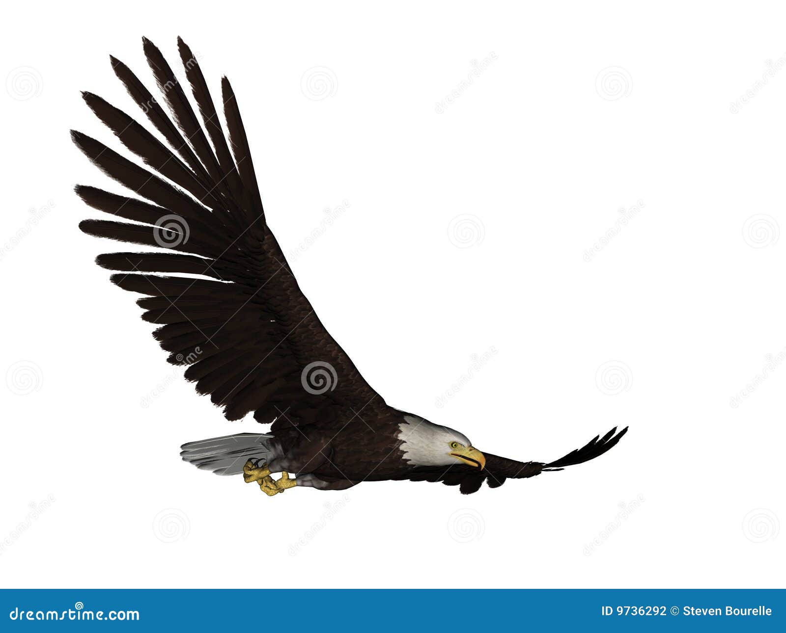 clip art soaring eagle - photo #21