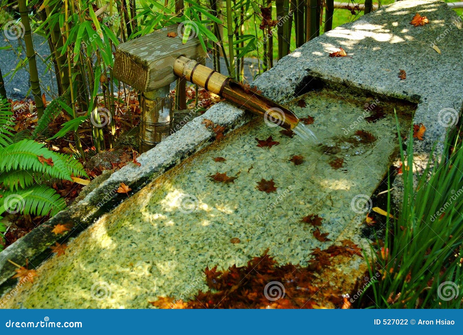 Bamboo Fountain In Zen Garden Stock Photography Image 527022
