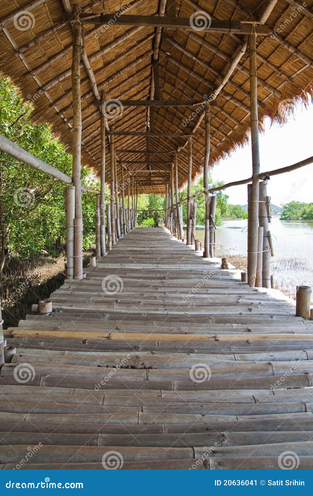 Bamboo Walkway Stock Image Image 20636041