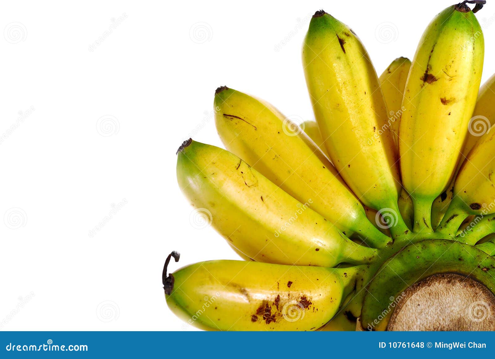 Banana Serie Banana Serie