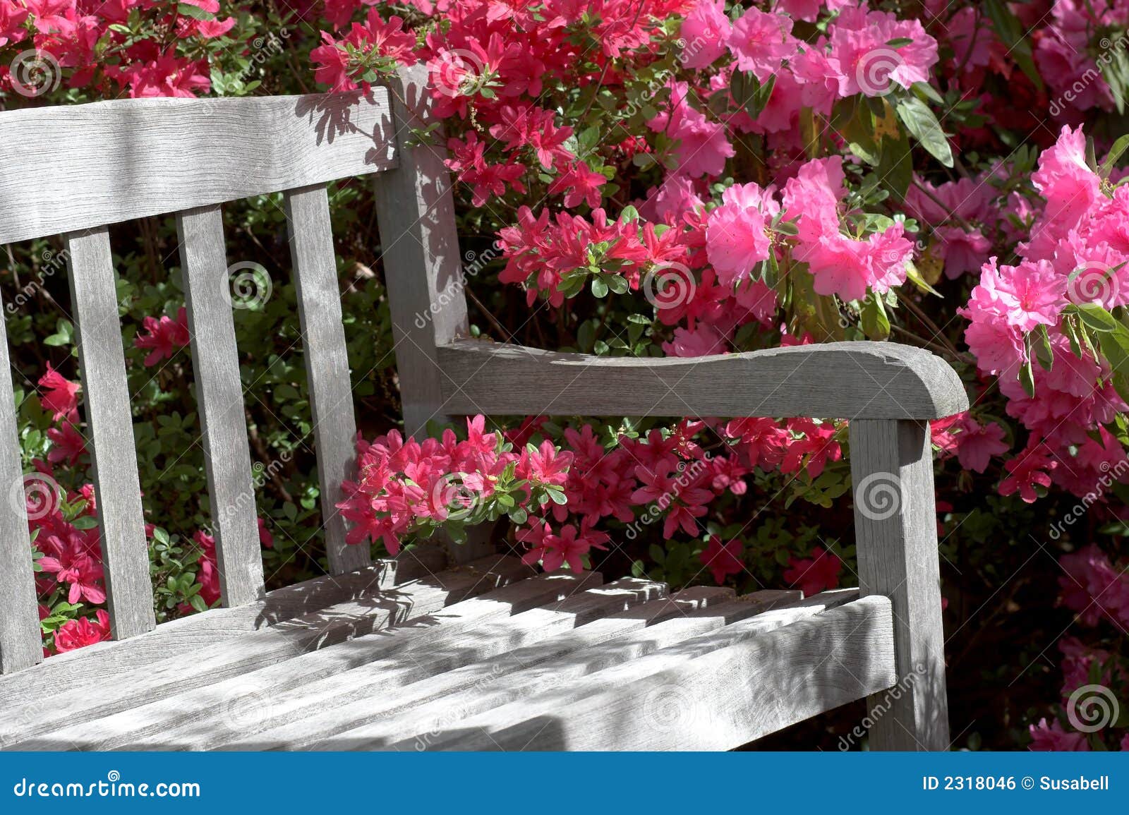Banco E Flores Do Jardim Imagem de Stock Royalty Free Imagem Banco E Flores Do Jardim Imagem de Stock Royalty Free Imagem