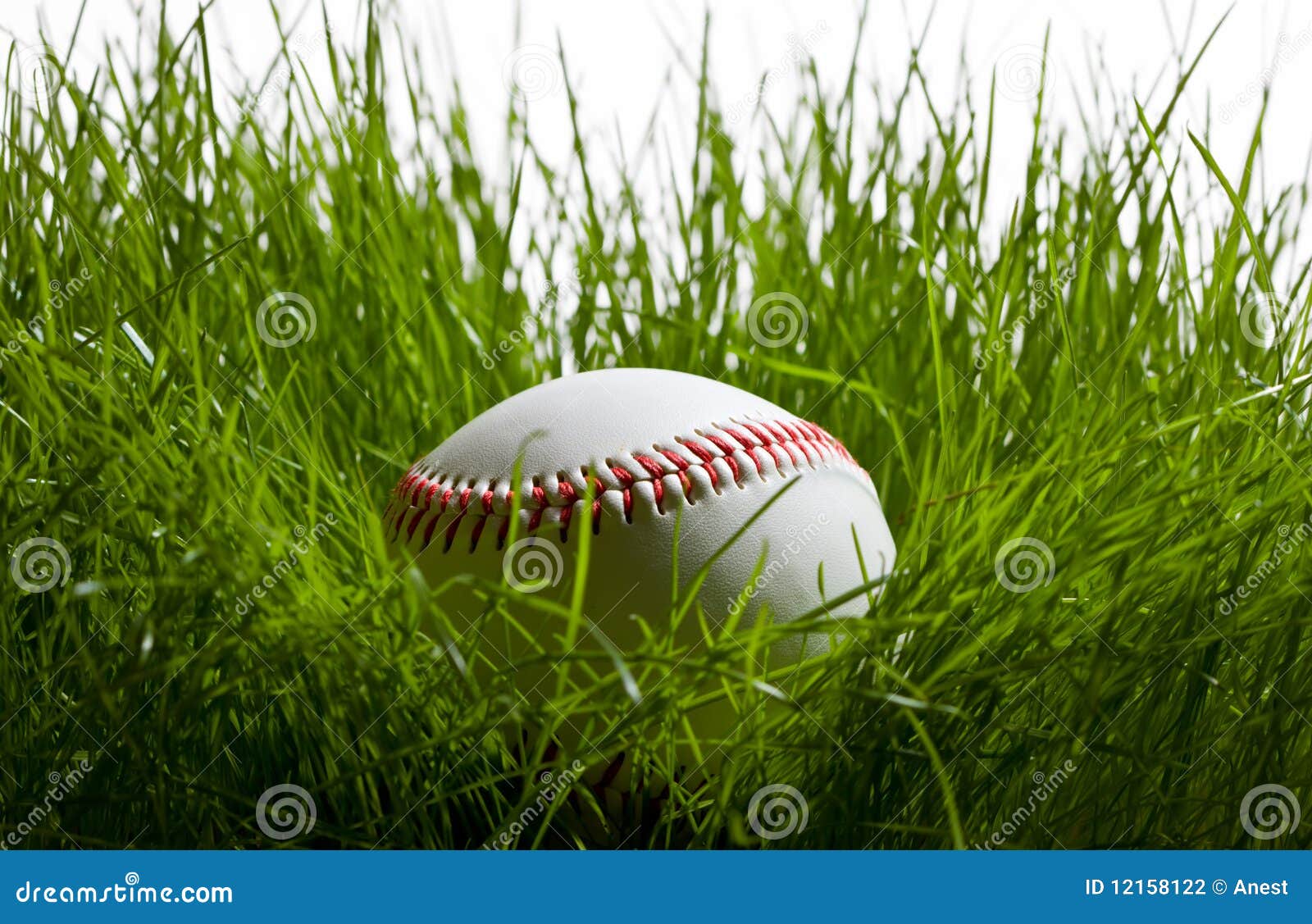 Baseball In The Grass Stock Photography Image 12158122