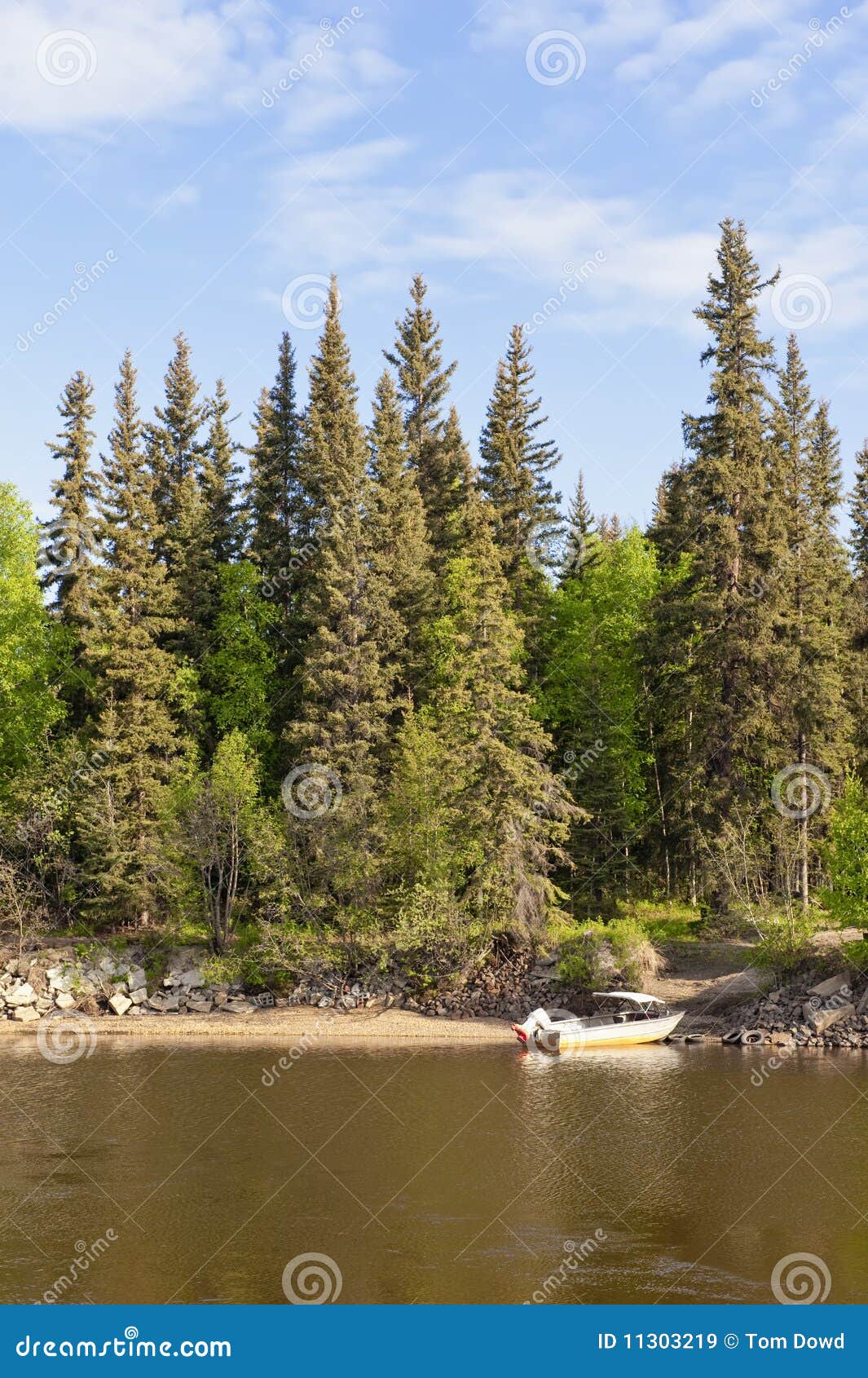 Bass fishing boat in a lake with Evergreen trees and a blue sky. .