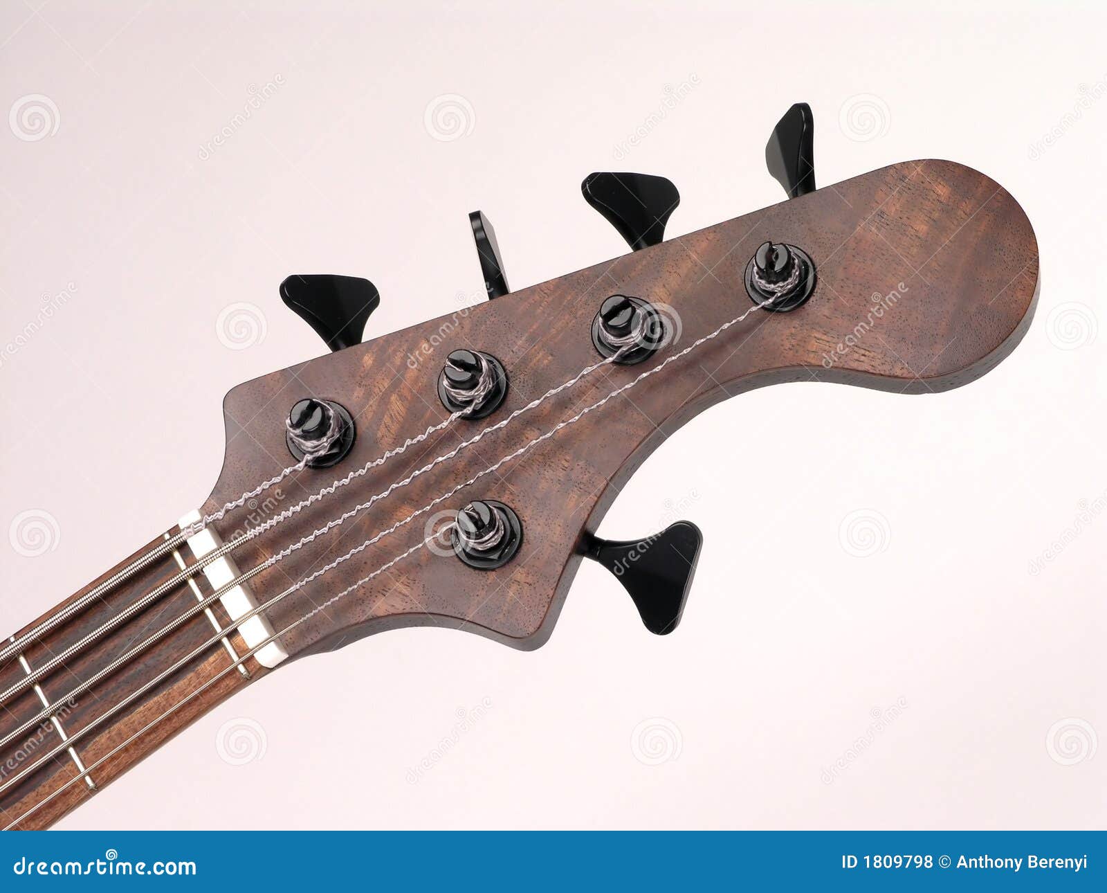 Bass Guitar Headstock