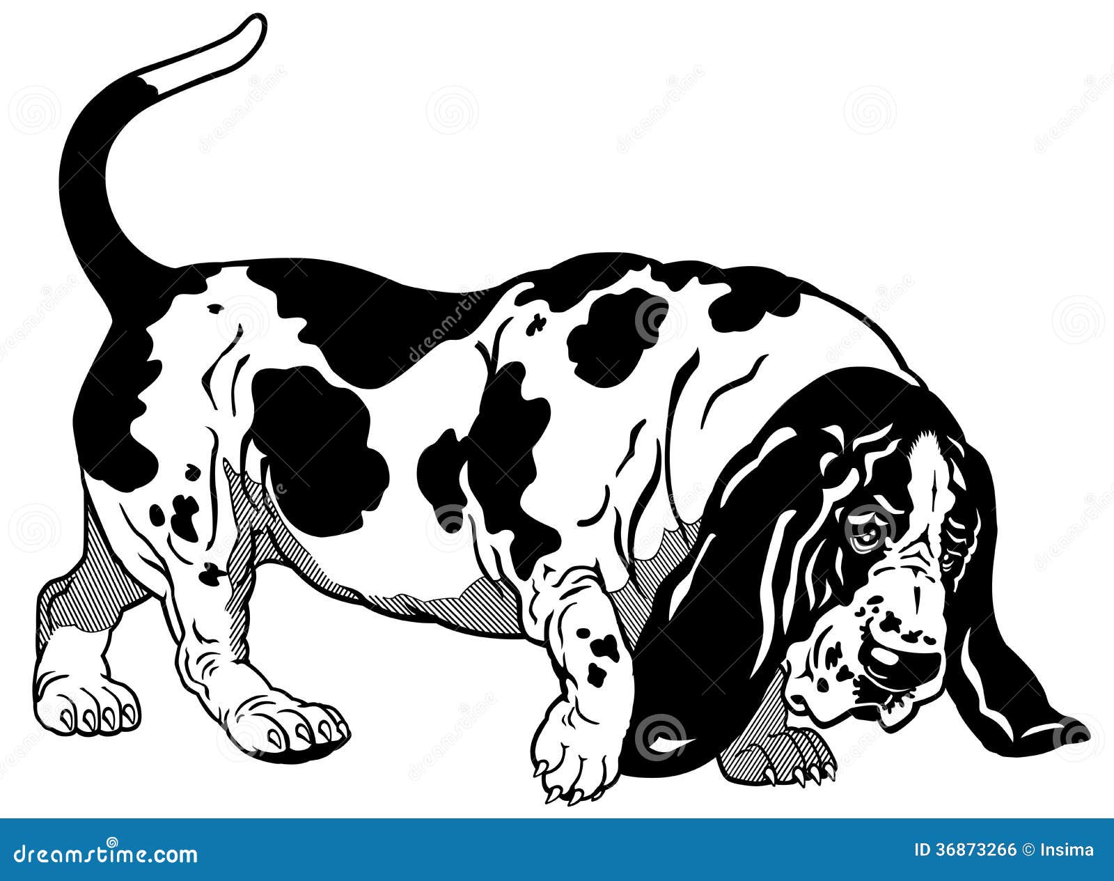 hound dog clipart - photo #42