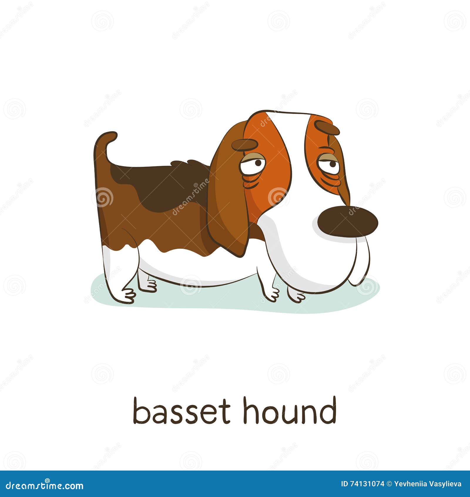 Basset Cartoons Illustrations And Vector Stock Images 325 Pictures To Download From