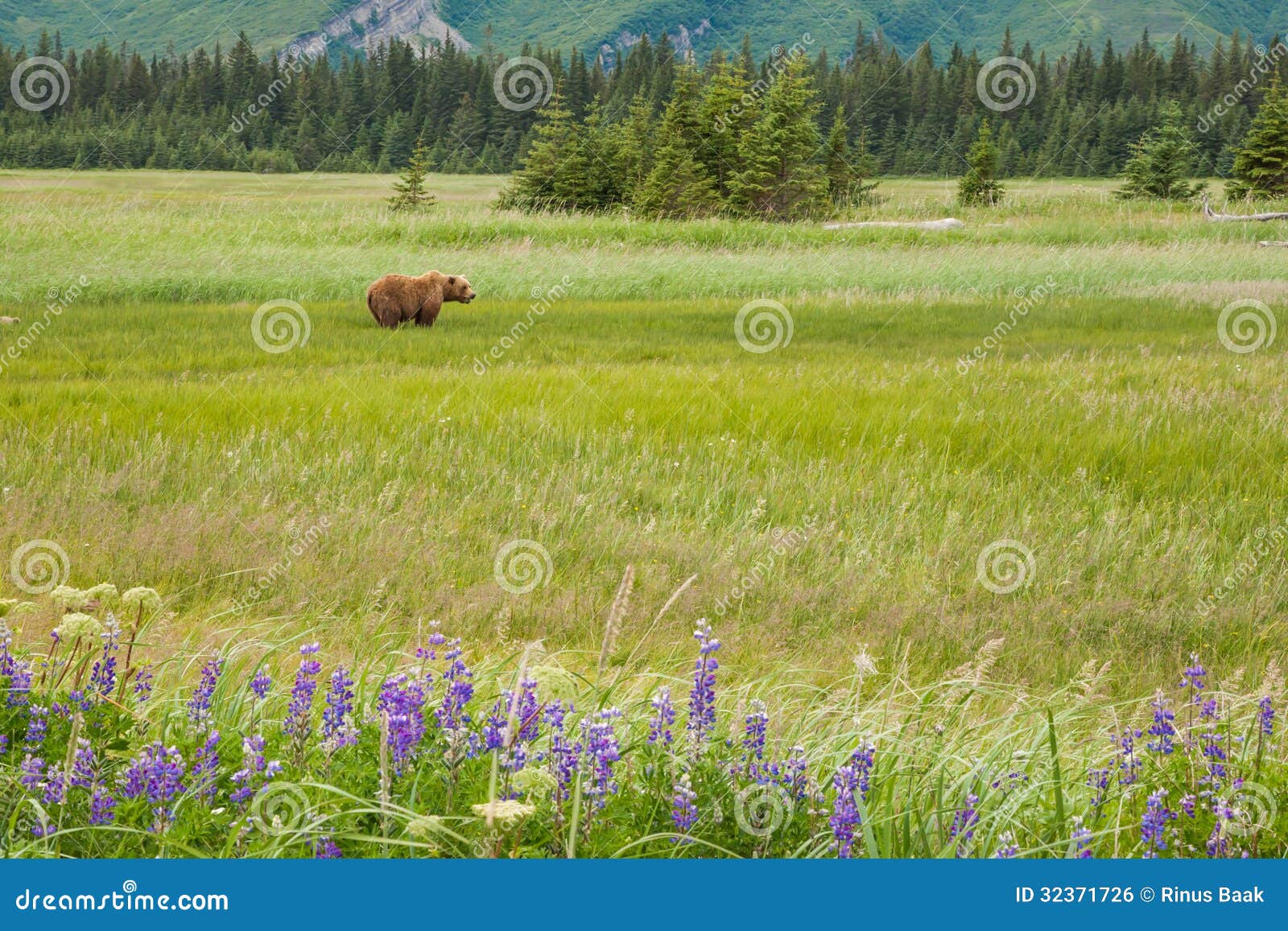 grassy meadows sex personals 1000s of grassy meadows women dating personals signup free and start meeting local grassy meadows women on bookofmatchescom. grassy meadows sex personals 1000s of grassy meadows women dating personals signup free and start meeting local grassy meadows women on bookofmatchescom.