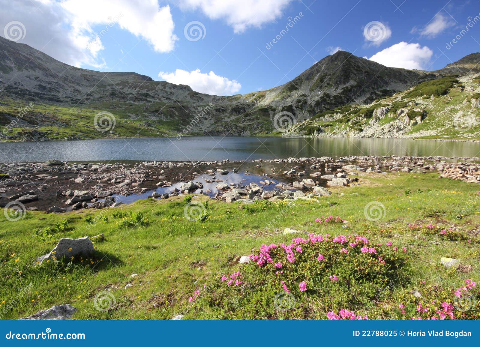 Beau paysage d'Ã©tÃ© de montagnes carpathiennes sur un bord de lac ...