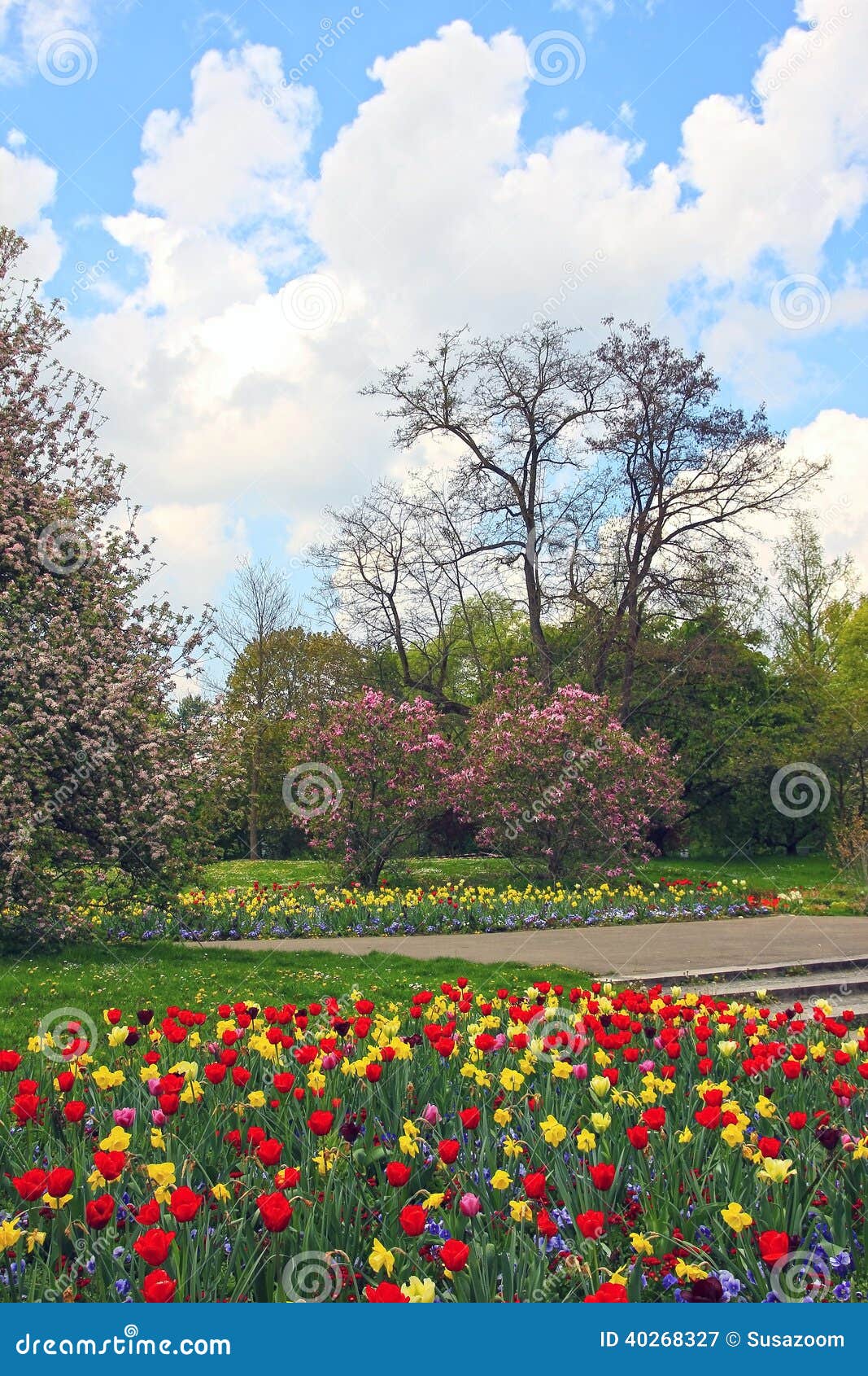 Beau paysage de printemps avec le parterre, les tulipes et le narcisse ...