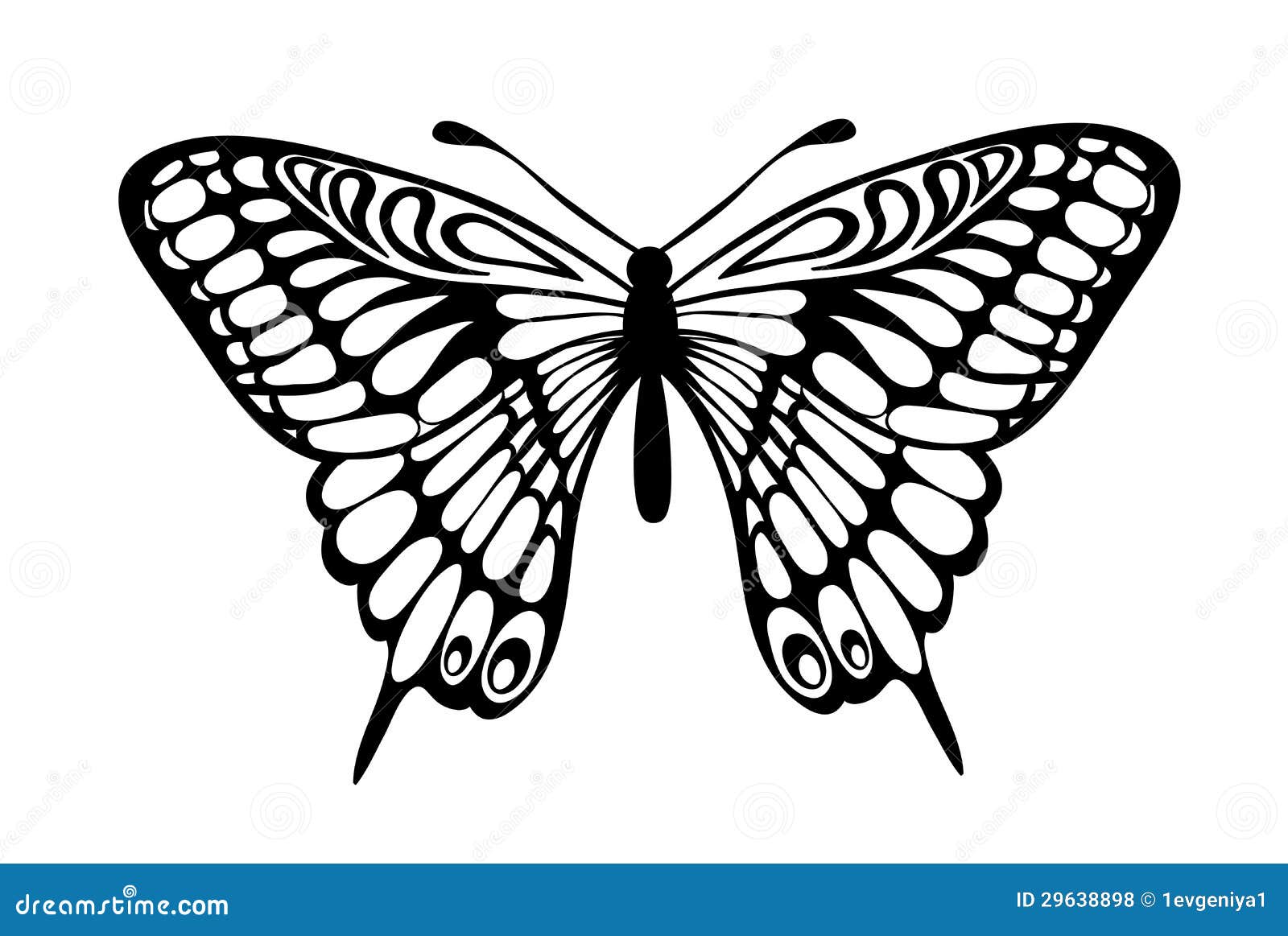 Black And White Butterfly Drawing