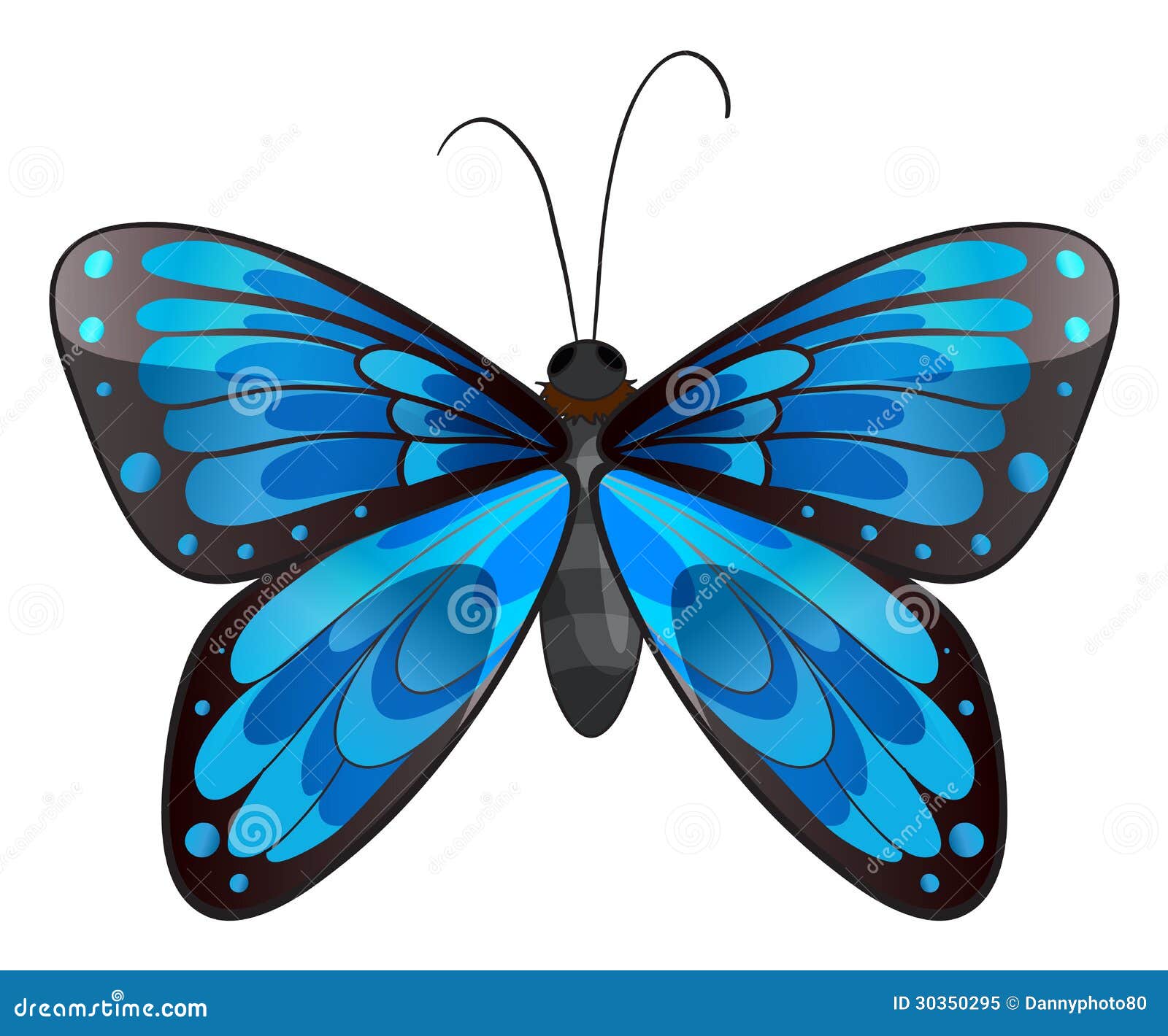 butterfly clipart no background - photo #17