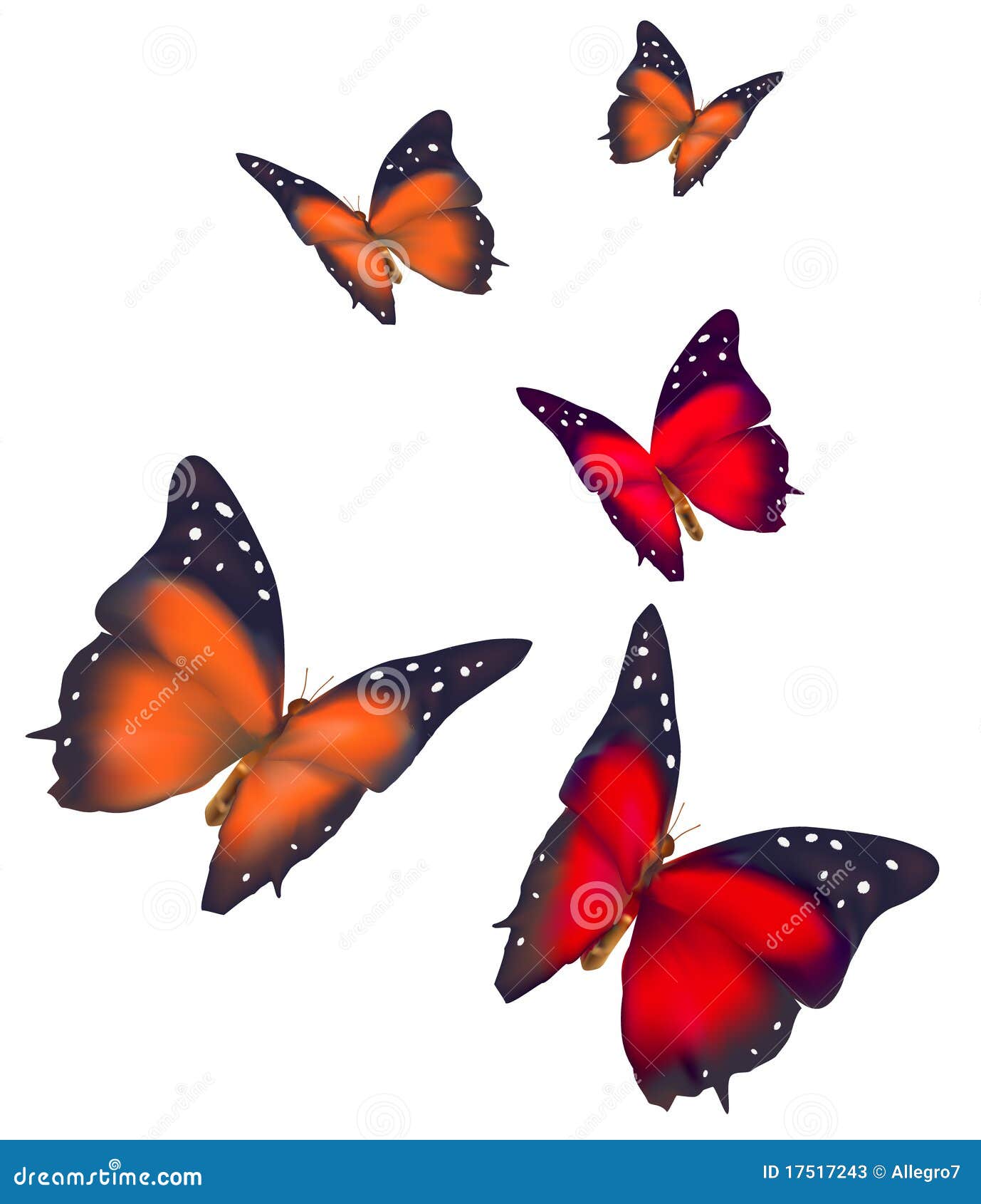 butterfly clipart no background - photo #25