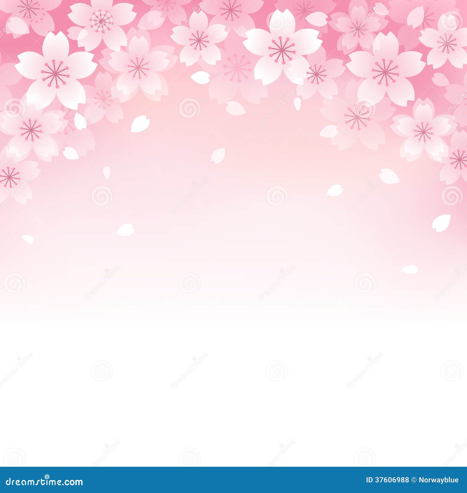 beautiful cherry blossom background 37606988