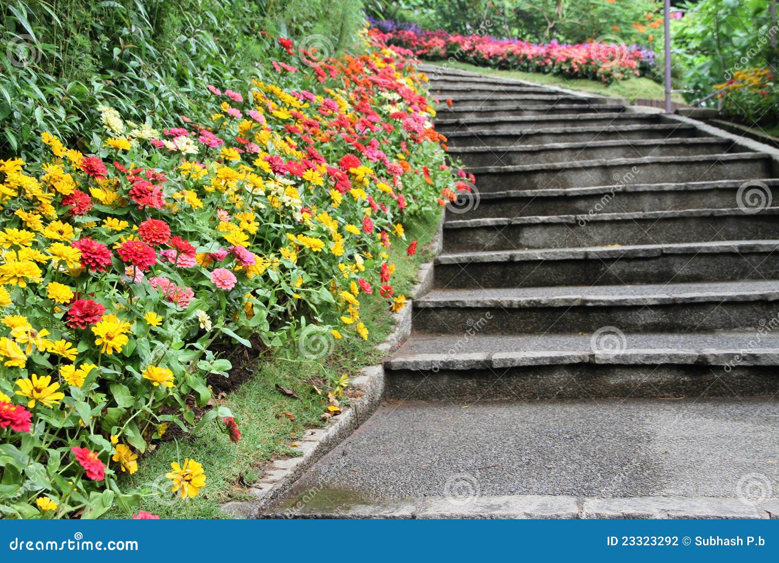 Beautiful Flower Garden Path