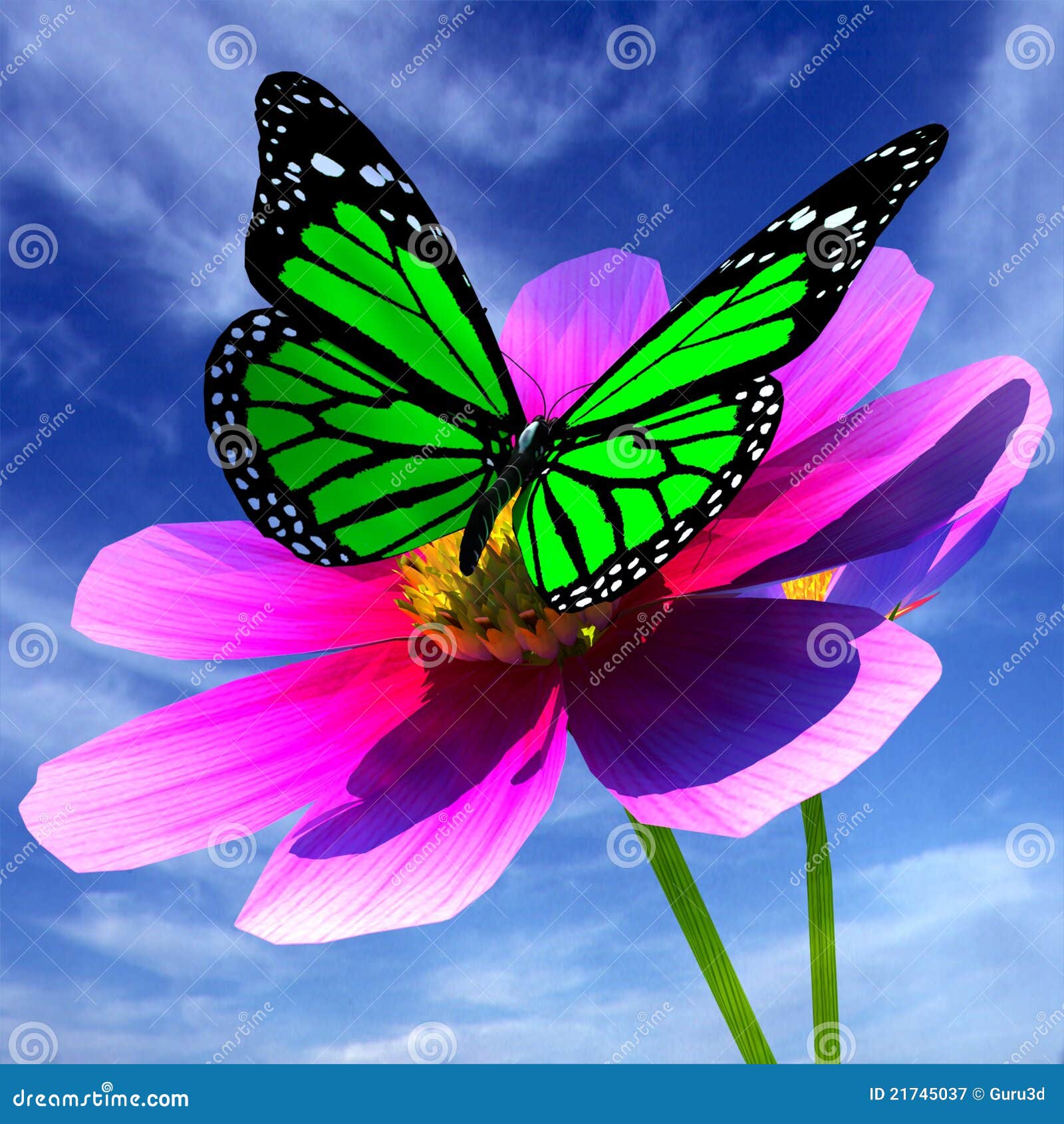 Beautiful Cosmos Flower And Butterfly Royalty Free Stock Photography