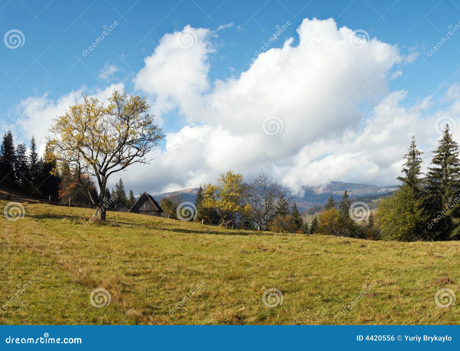 Beautiful autumn morning near Carpathian village outskirts Carpathian 