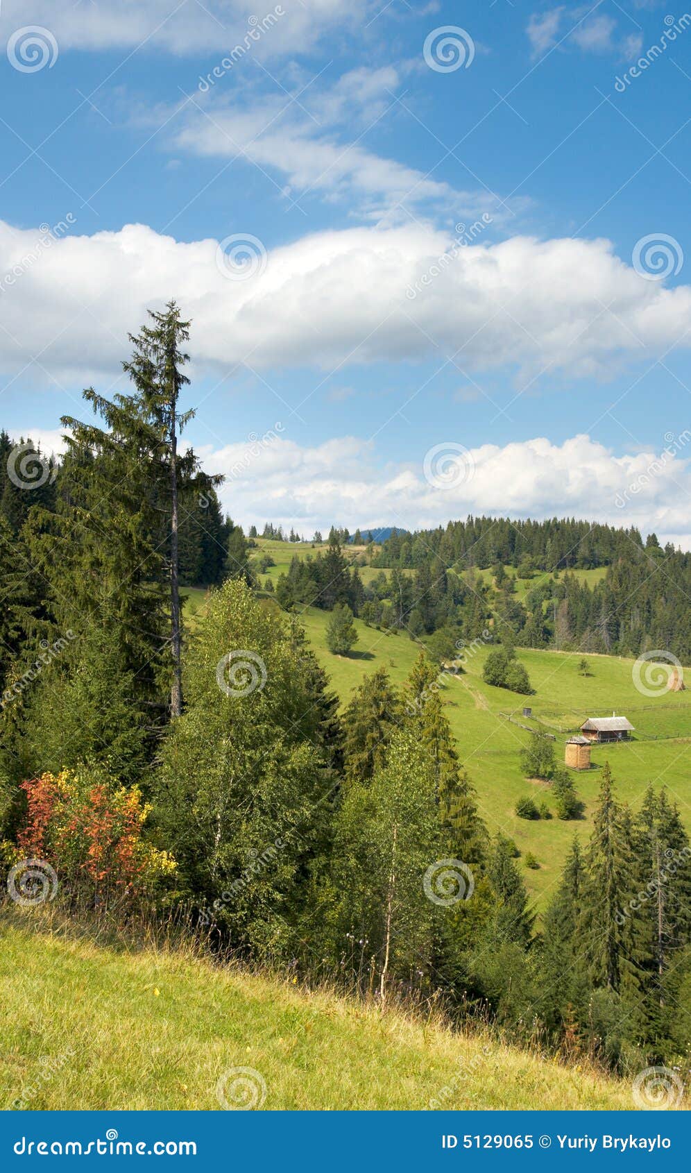 Beautiful autumn morning near Carpathian village outskirts Carpathian 