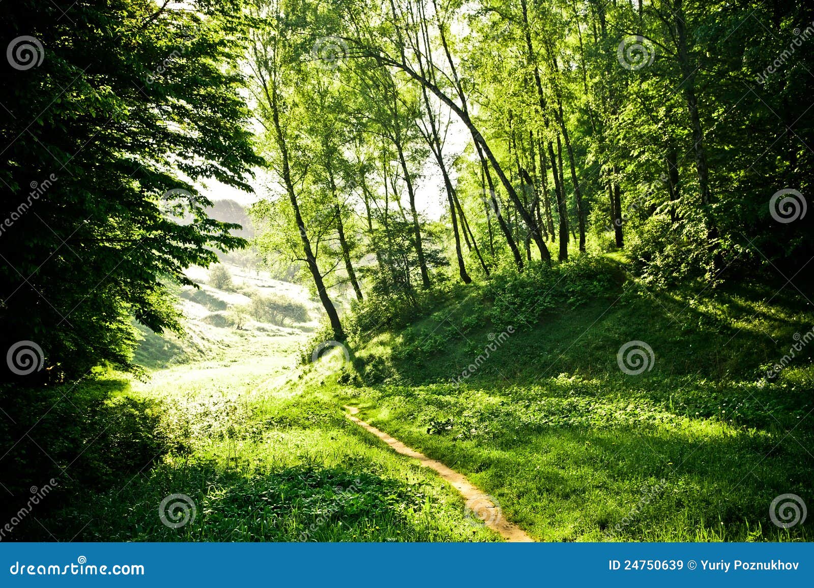 Beautiful Fine Morning Royalty Free Stock Images  Image: 24750639