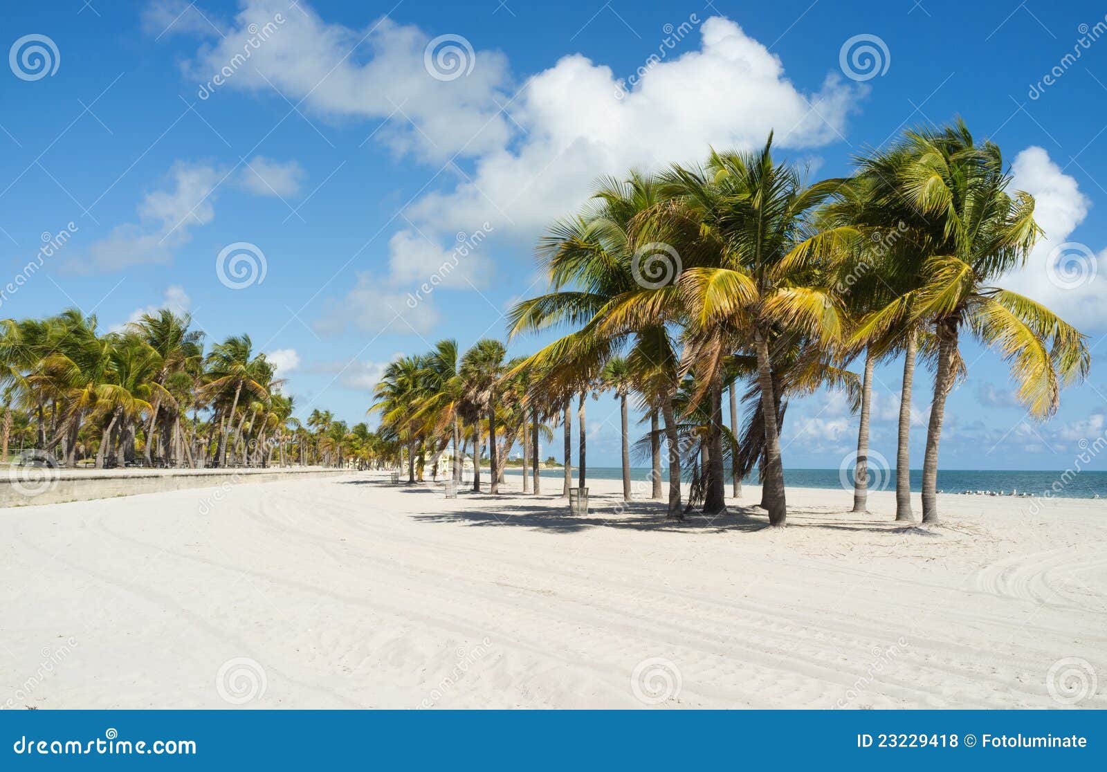 Royalty Free Stock Photos: Beautiful Miami Beach