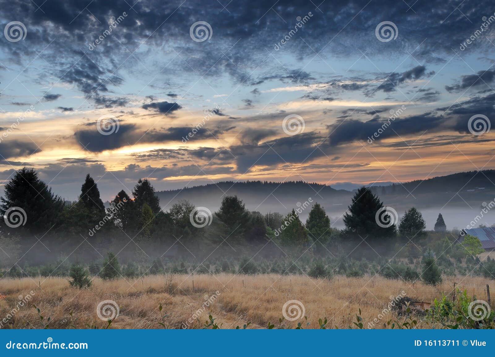 Beautiful Morning Landscape with Fog and a sunrise. HDR. Dramatic 