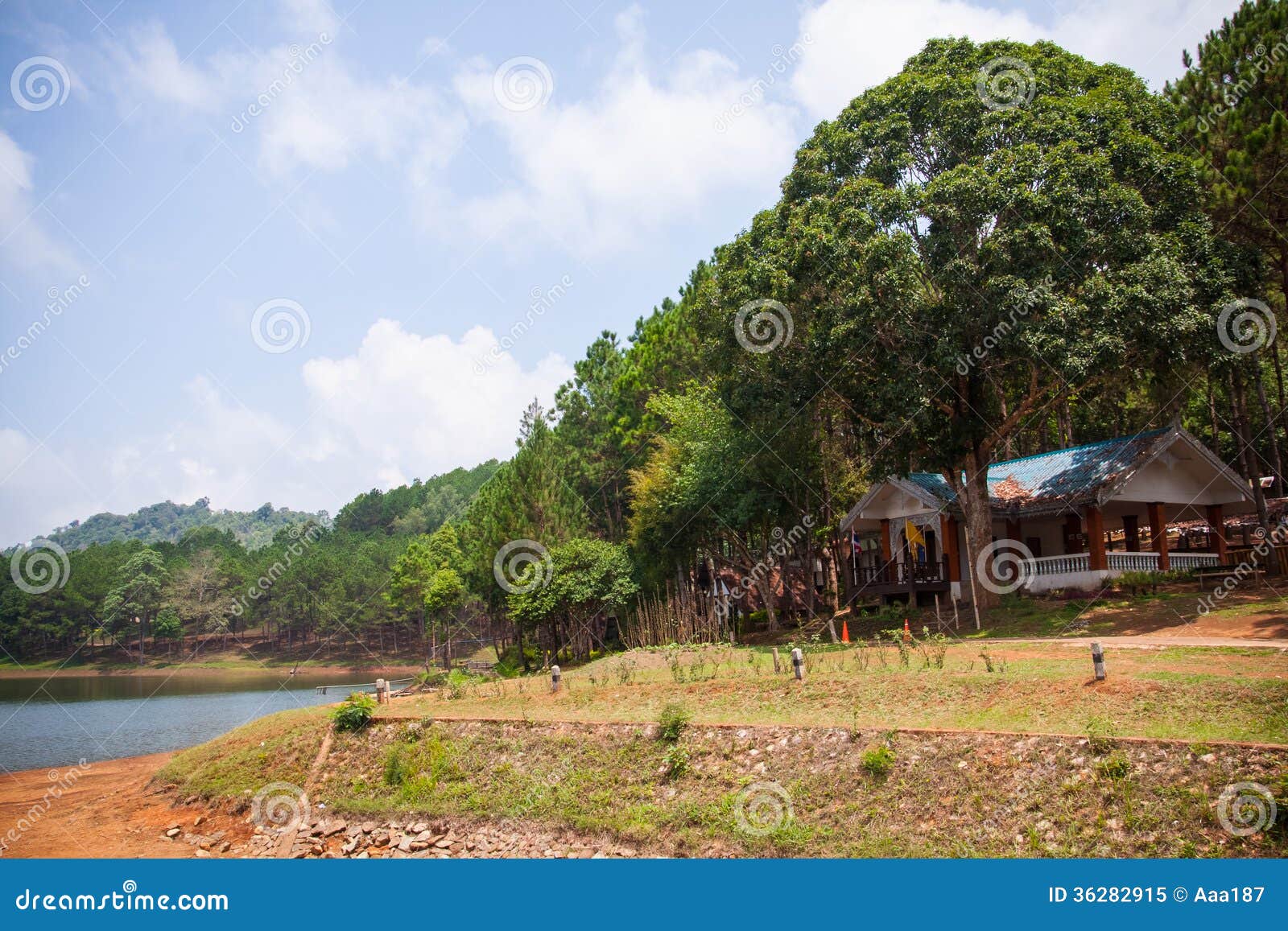 Beautiful Natural Scene Of Greenery Forest And Lake Royalty Free Stock