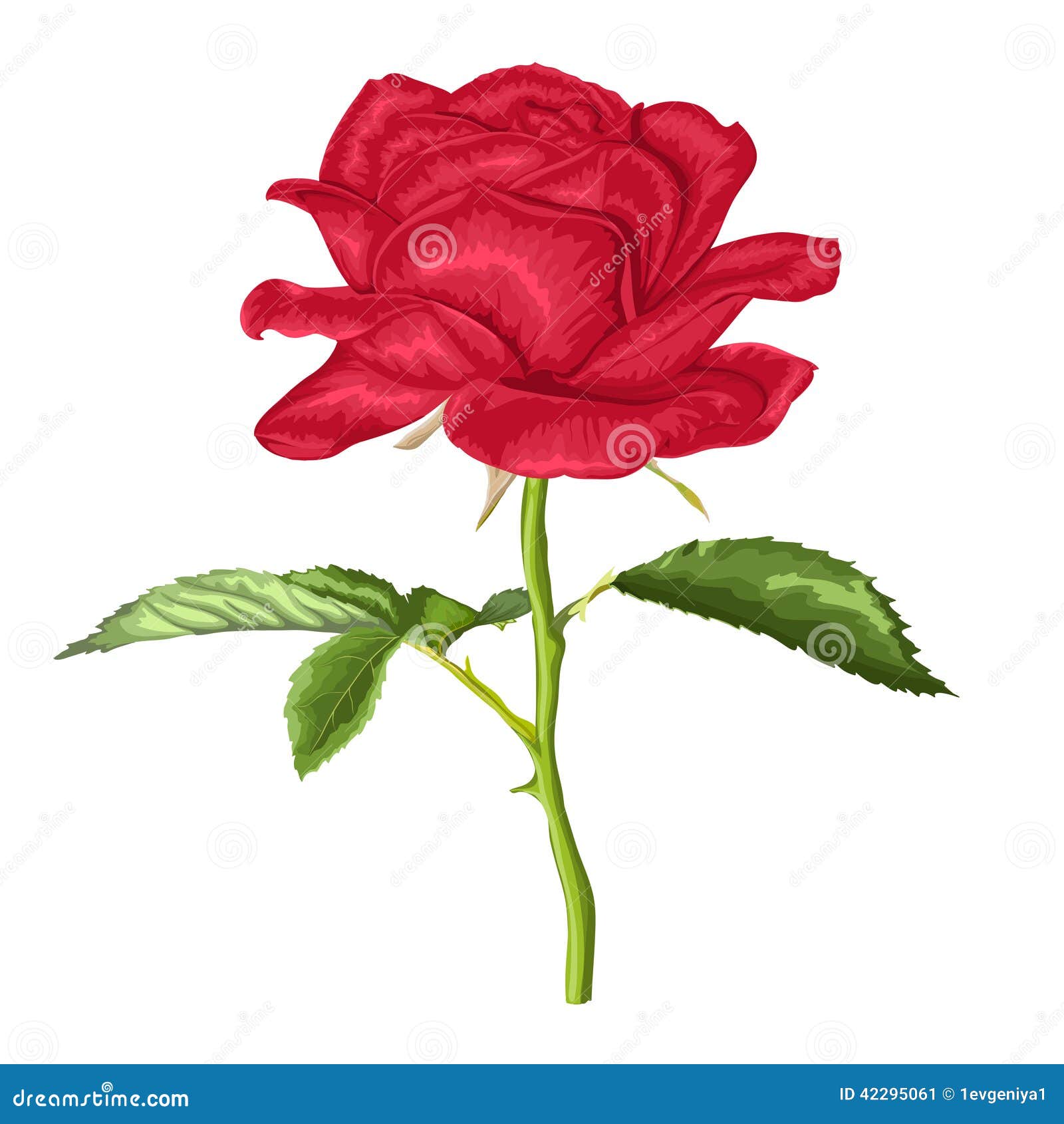 Red Rose With Stem And Thorns