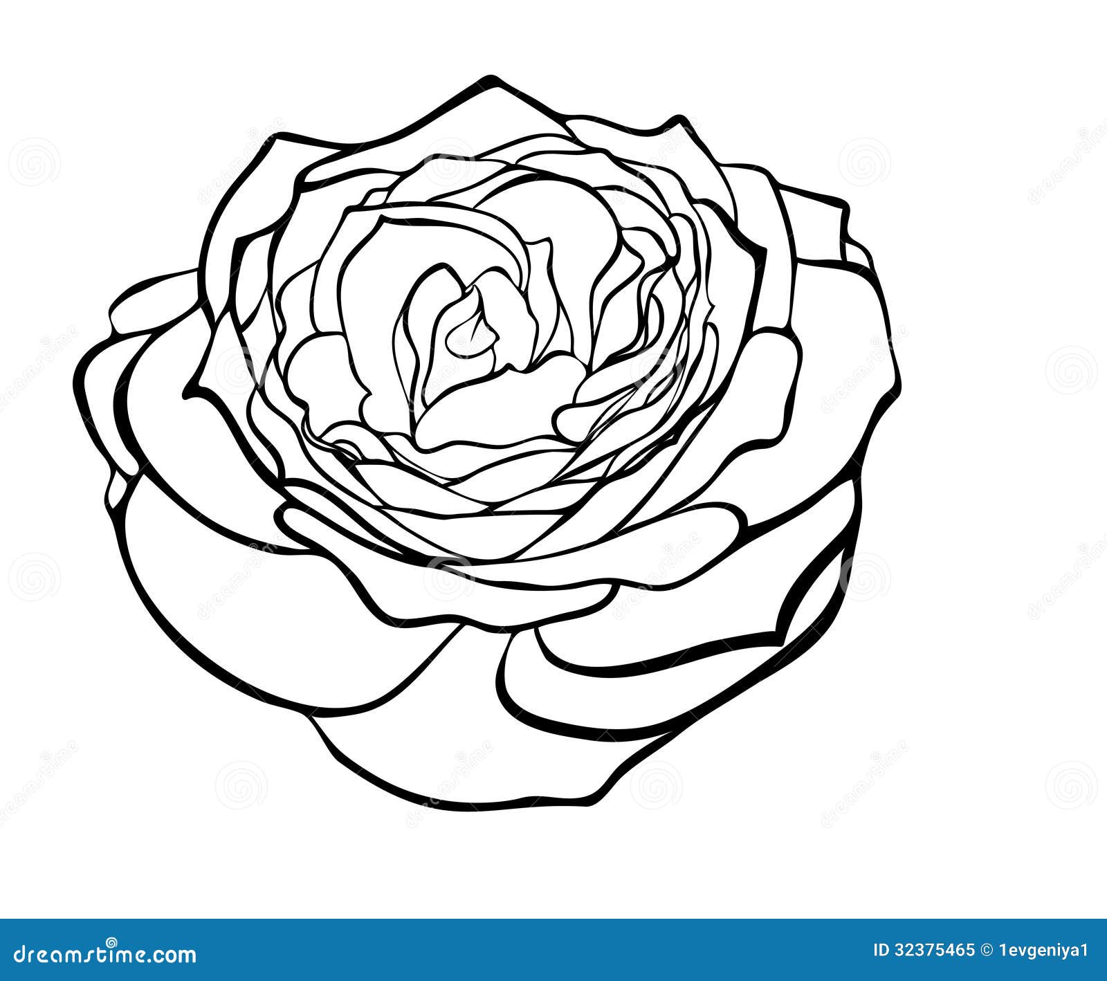 Rose Black And White Outline