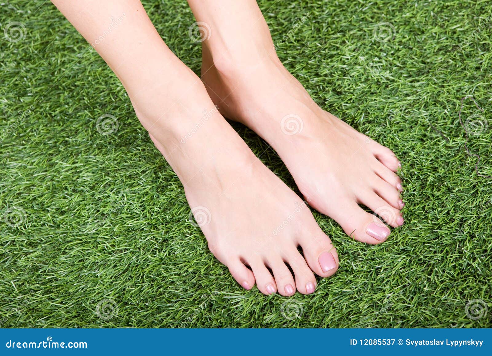 Beautiful Slim Female Feet On Green Grass Royalty Free Stock