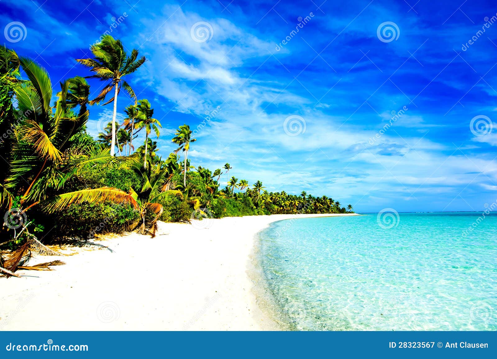 Beautiful Tropical Beach with palm trees and clear blue water.