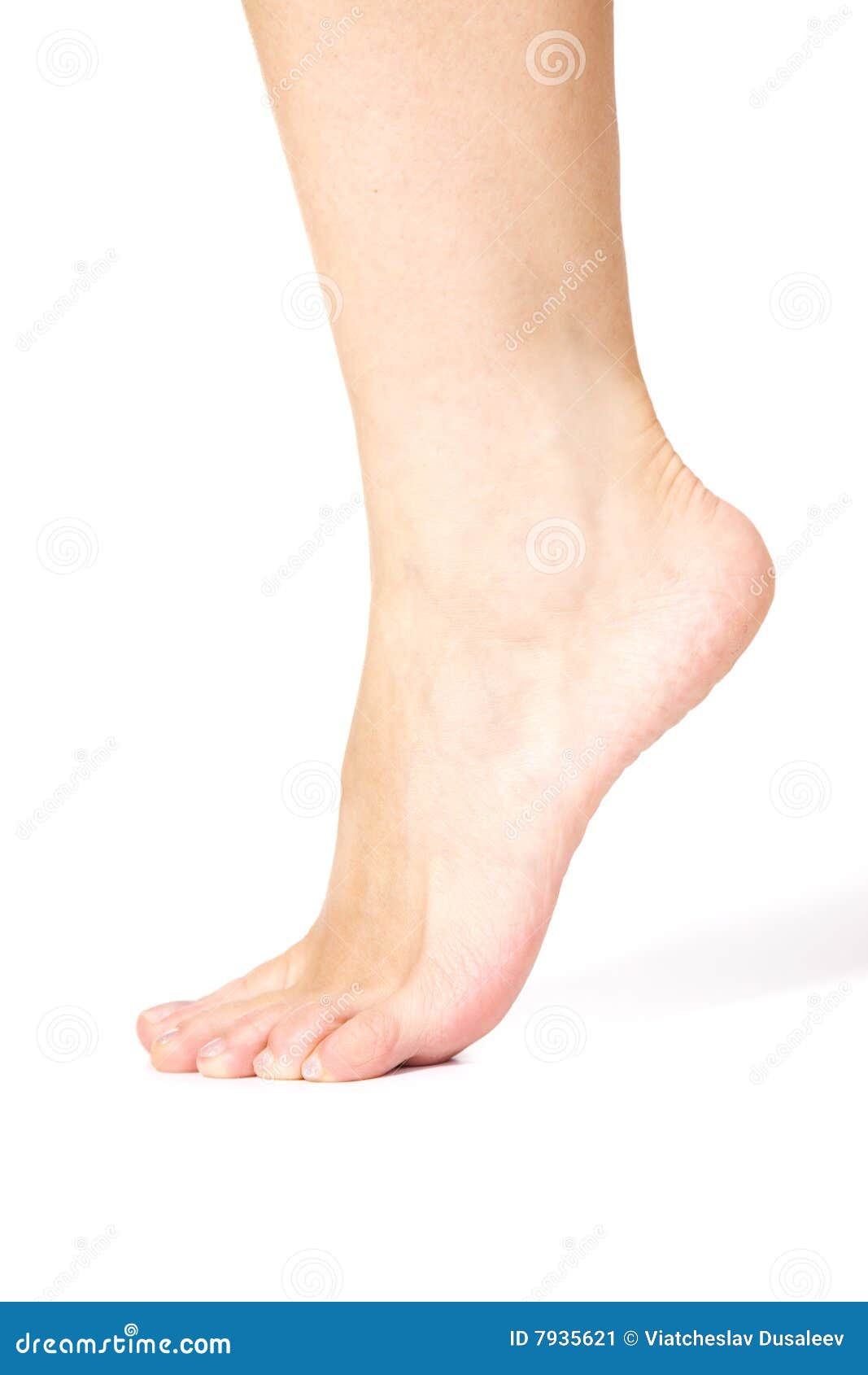 Beautiful Woman Feet. Stock Image - Image: 7935621