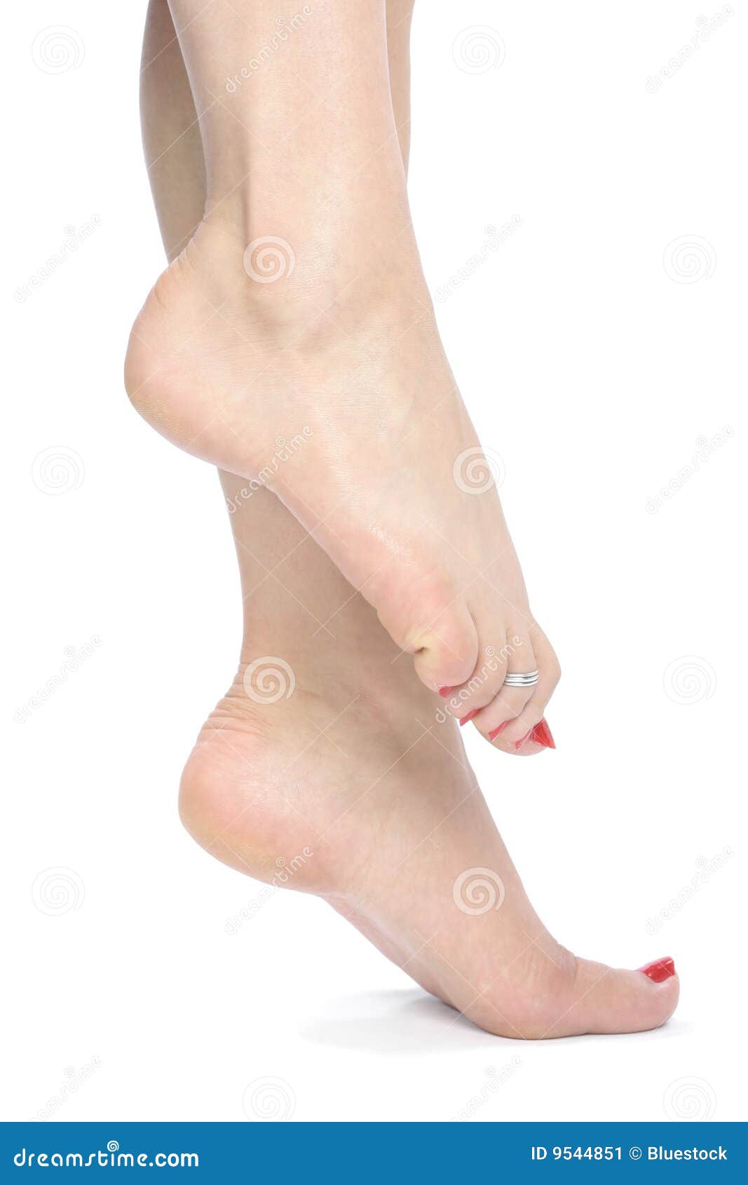 Beautiful Woman Feet Over White Stock Image - Image: 9544851