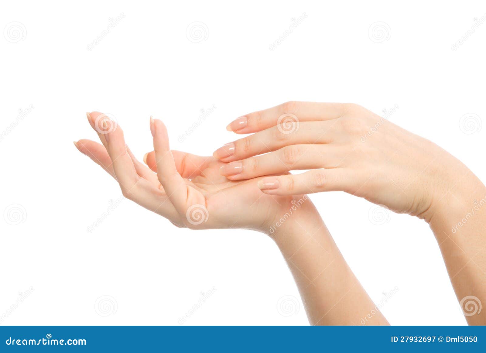 Beautiful Woman Hands With French Manicure Nails Royalty Free Stock