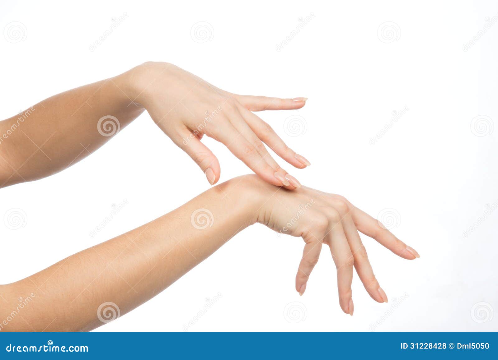 Beautiful Woman Hands With French Manicure Nails Royalty Free Stock