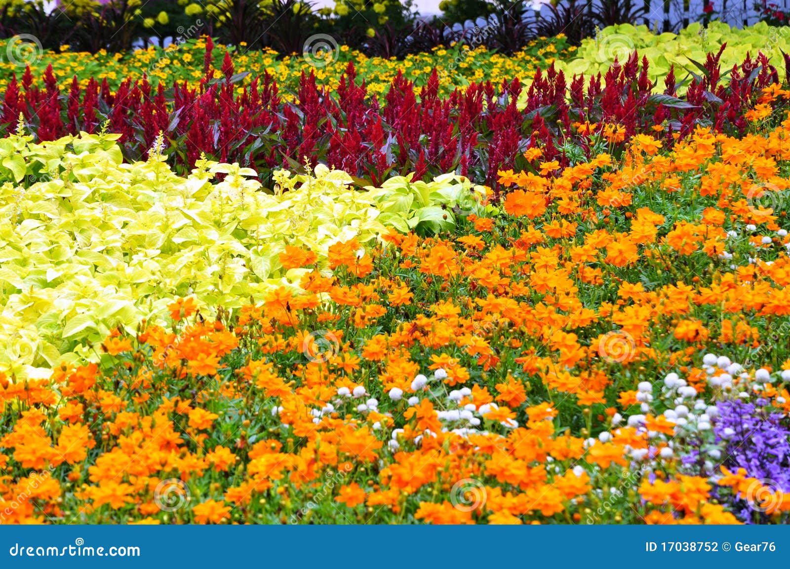 Bed Of Flowers Stock Photography - Image: 17038752