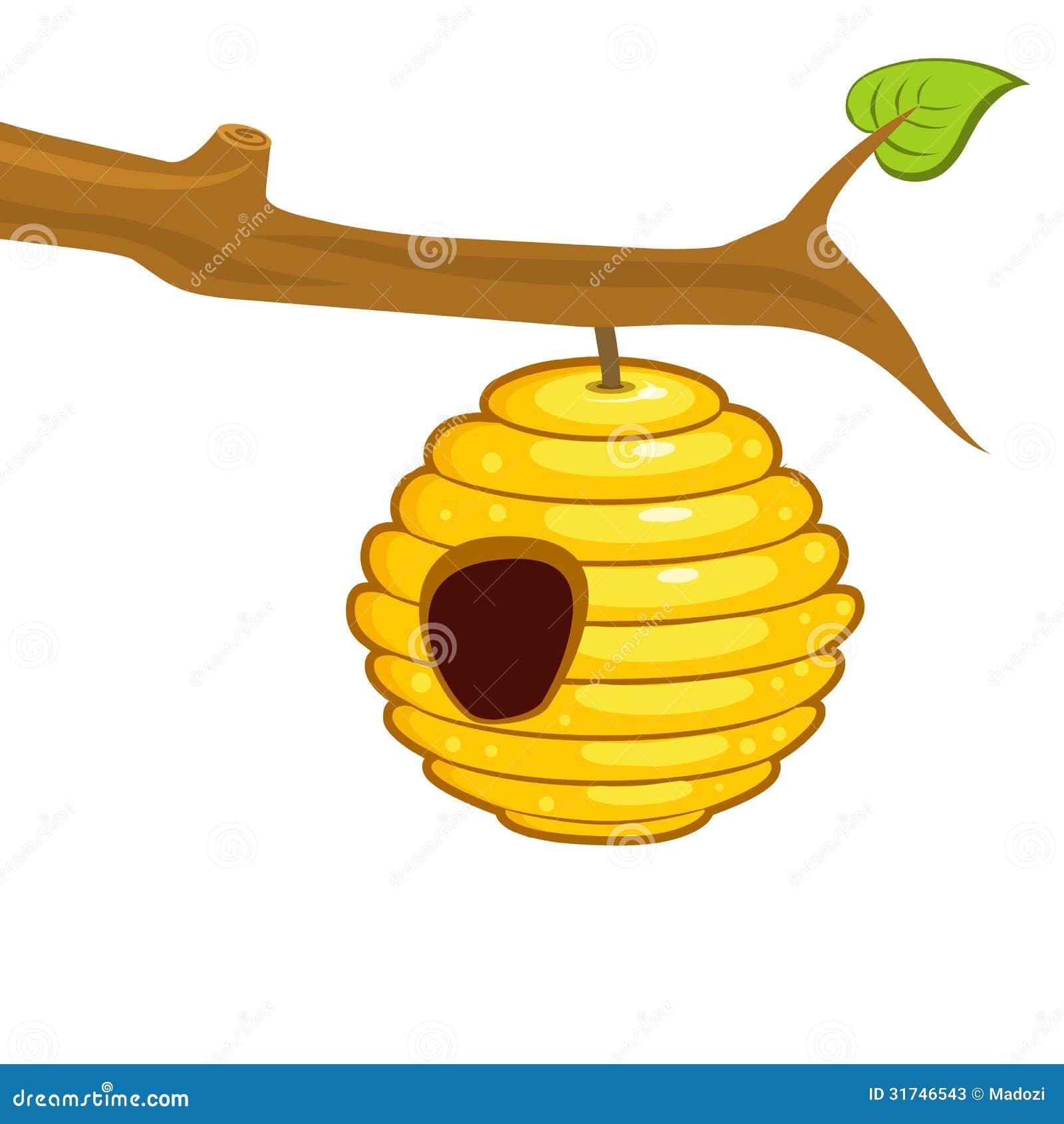 Beehive Hanging From A Branch Stock Photos - Image: 31746543