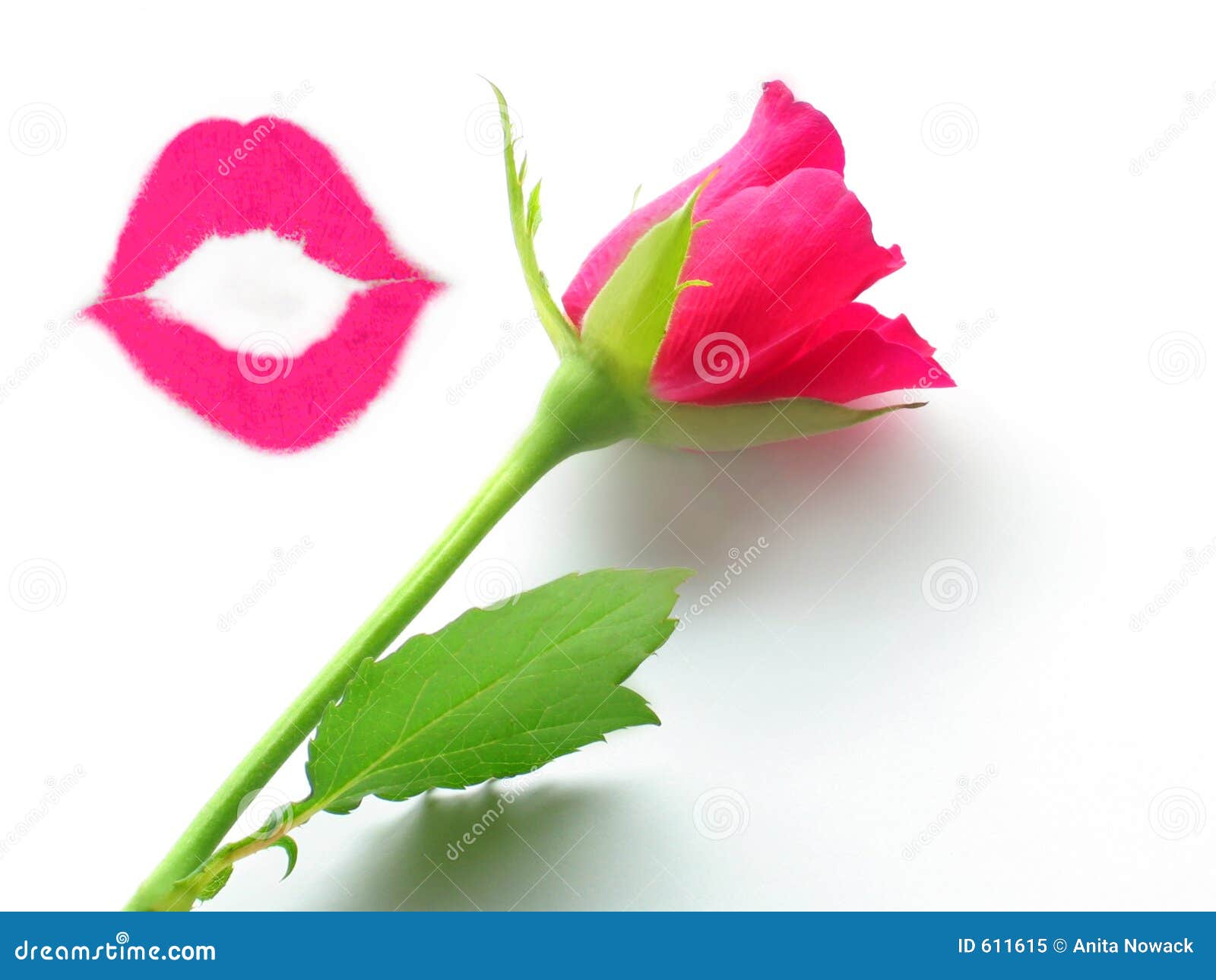 beijo-e-uma-rosa-611615.jpg