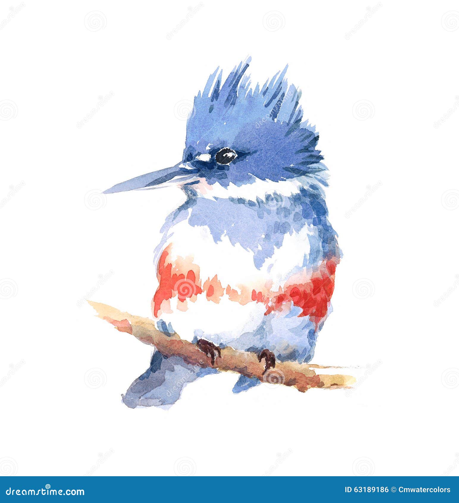 clipart kingfisher bird - photo #47