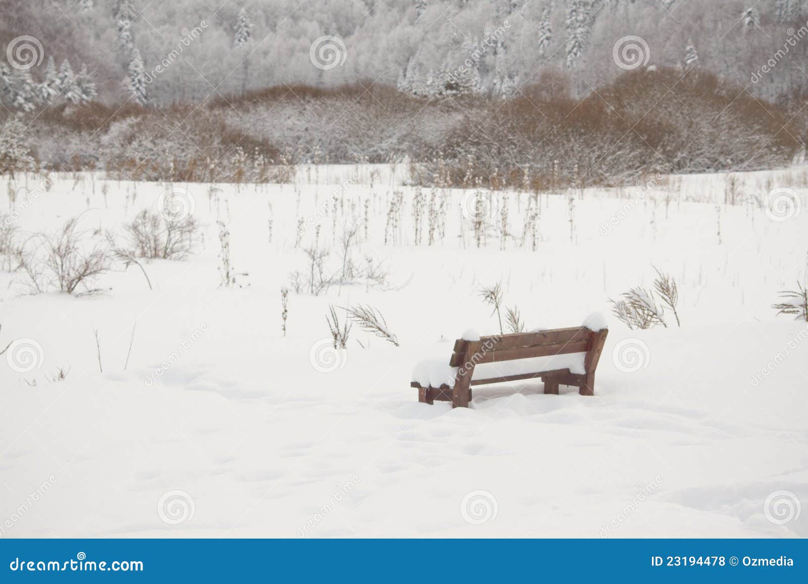Royalty Free Stock Photos: Bench in a picnic field covered with snow