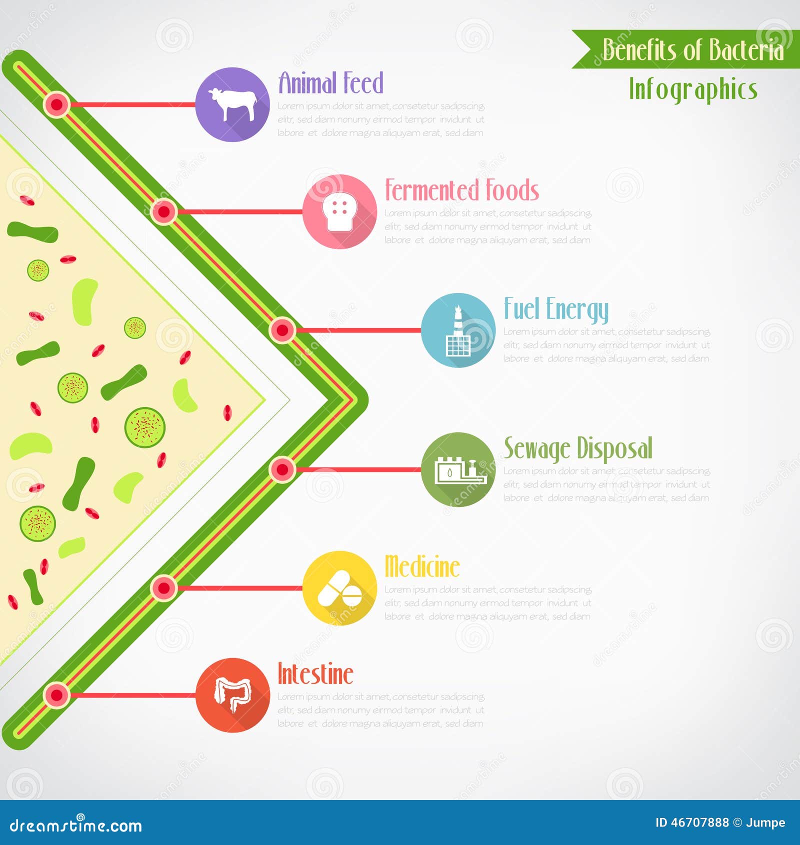 Benefits Of Bacteria Infographics Vector Illustration CartoonDealer