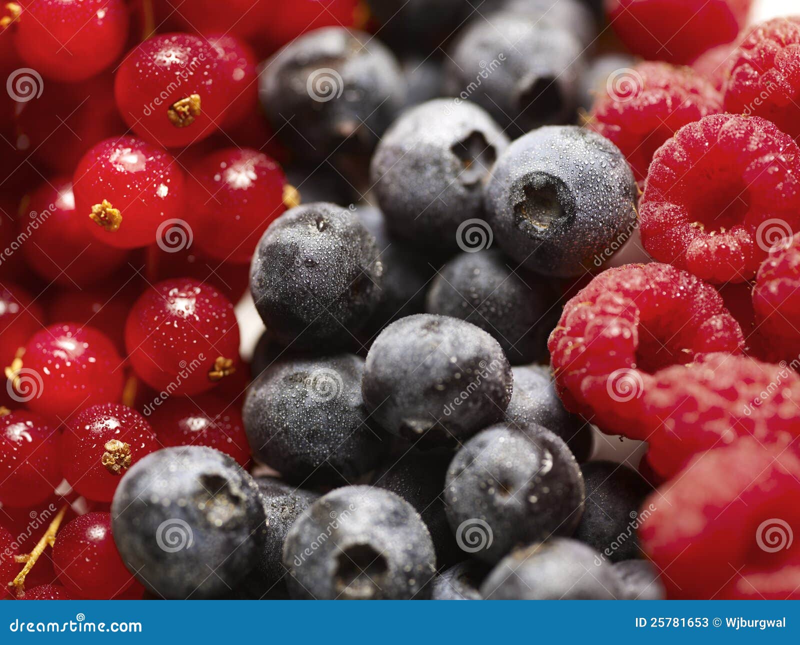 Berry Fruit Stock Photos Image 25781653