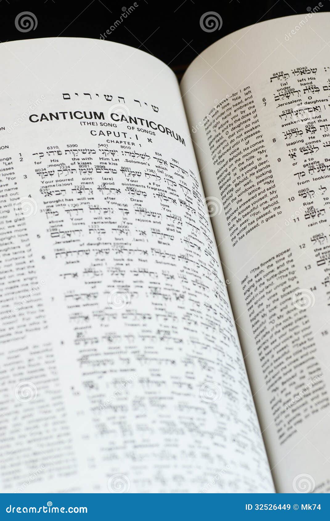 Interlinear Bible Hebrew Greek English Free Download
